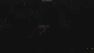 Скриншот 4 к игре Valley of the foxes