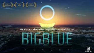 Скриншот 1 к игре Big Blue - Memory