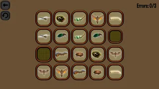 Скриншот 2 к игре Animals Memory: Insect