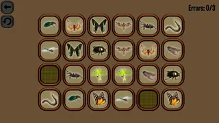 Скриншот 3 к игре Animals Memory: Insect