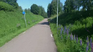 Скриншот 8 к игре Silent Footsteps
