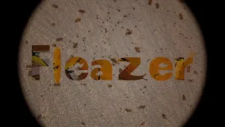 Скриншот 1 к игре Fleazer