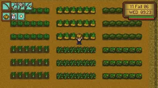 Скриншот 5 к игре Gleaner Heights