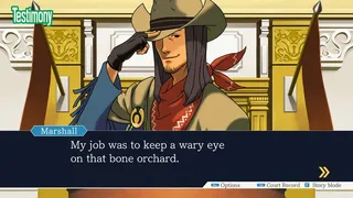 Скриншот 2 к игре Phoenix Wright: Ace Attorney Trilogy