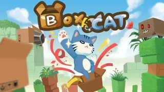 Скриншот 1 к игре BoxCat