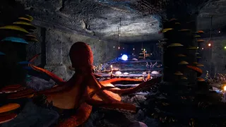 Скриншот 2 к игре Essence of Illumination: The Beginning