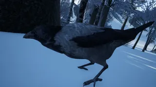 Скриншот 2 к игре Hiking Simulator 2018