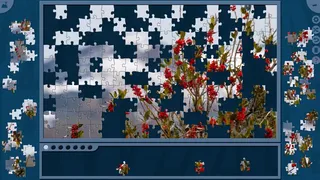 Скриншот 3 к игре Super Jigsaw Puzzle