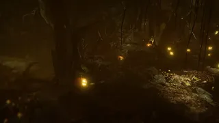 Скриншот 5 к игре Seeking Dawn: Free to Play Edition