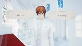 Скриншот 2 к игре 挙式VR 鴻上大和 編 Wedding VR : Yamato