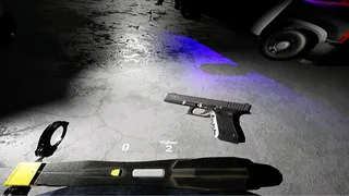 Скриншот 5 к игре Police Enforcement VR : 1-King-27