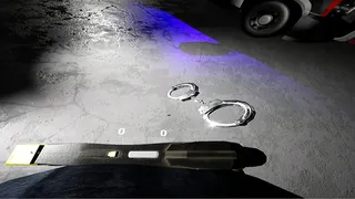 Скриншот 6 к игре Police Enforcement VR : 1-King-27