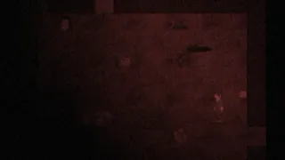 Скриншот 4 к игре Please Love My Computer Game