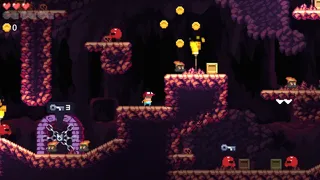 Скриншот 1 к игре Super Dungeon Boy 2