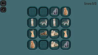 Скриншот 1 к игре Animals Memory: Cats