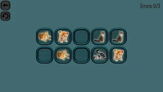 Скриншот 5 к игре Animals Memory: Cats