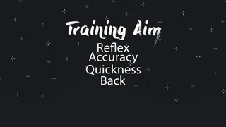 Скриншот 2 к игре Training aim