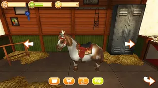Скриншот 2 к игре Horse World