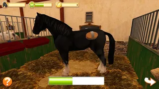 Скриншот 3 к игре Horse World