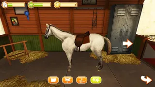 Скриншот 5 к игре Horse World