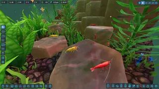 Скриншот 7 к игре FISHERY