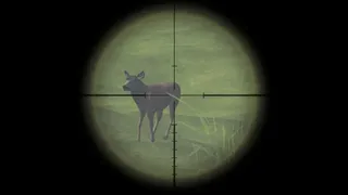 Скриншот 2 к игре DeerHunterX