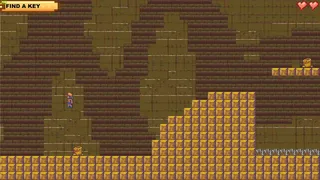 Скриншот 6 к игре Jungle Jorney