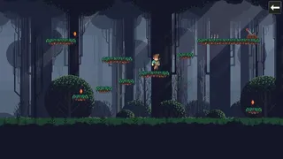 Скриншот 3 к игре Platform Challenge