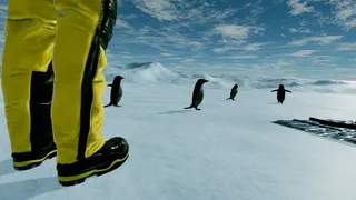 Скриншот 1 к игре Kolb Antarctica Experience