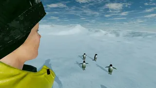 Скриншот 4 к игре Kolb Antarctica Experience