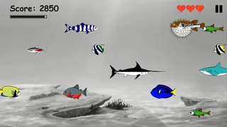 Скриншот 1 к игре Hungry Fish Evolution