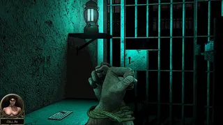 Скриншот 1 к игре Stonewall Penitentiary