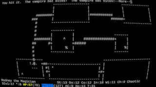 Скриншот 3 к игре NetHack: Legacy