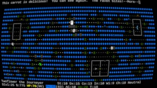 Скриншот 5 к игре NetHack: Legacy