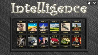 Скриншот 6 к игре Intelligence