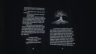 Скриншот 2 к игре Adventures in the Light & Dark