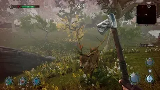 Скриншот 3 к игре Forests of Augusta