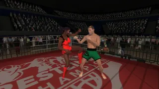Скриншот 3 к игре Wrestlers Without Boundaries