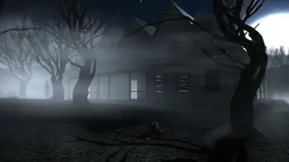 Скриншот 1 к игре Fading Visage