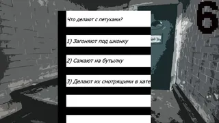 Скриншот 3 к игре Prison Test