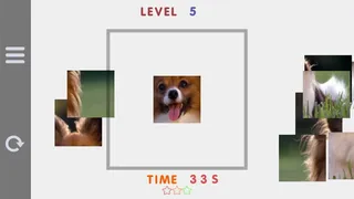Скриншот 1 к игре Epic drag puZOOls