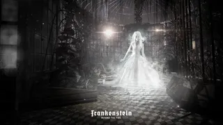 Скриншот 4 к игре Frankenstein: Beyond the Time