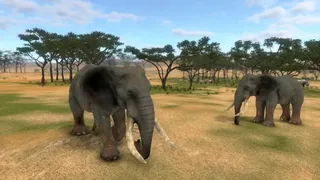 Скриншот 2 к игре SAVANNA SHOT VR