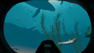 Скриншот 1 к игре Absolute VR Experiences