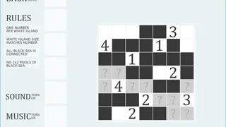 Скриншот 5 к игре Nurikabe