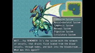 Скриншот 2 к игре The King's Request: Physiology and Anatomy Revision Game