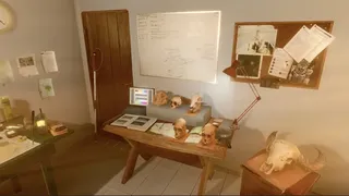 Скриншот 2 к игре Living with Jaguars VR