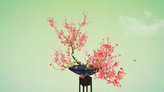 Скриншот 1 к игре Tree Bonsai