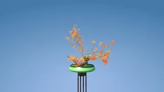 Скриншот 4 к игре Tree Bonsai