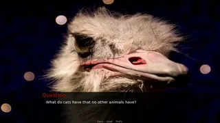 Скриншот 3 к игре 18+